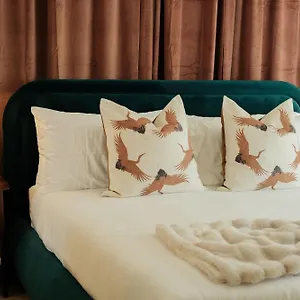 The Mod Otel